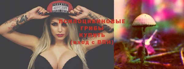 прущие крисы Алексеевка