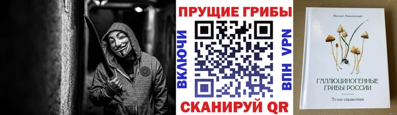 блэк спрут tor  Уссурийск  Псилоцибиновые грибы мицелий 
