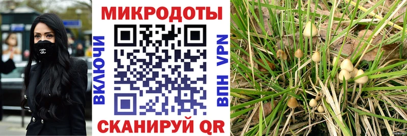 Галлюциногенные грибы MAGIC MUSHROOMS Уссурийск